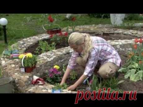 Схемы посадки цветов на клумбе для начинающих - разбор примеров