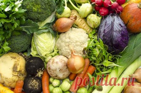 Чего и сколько нам сажать, чтоб закромам не пустовать