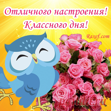 Отличного настроения! Хорошего дня! Открытки, картинки и пожелания своими словами, в прозе! Дорогие друзья! Сегодня такой замечательный день... | Страница 3