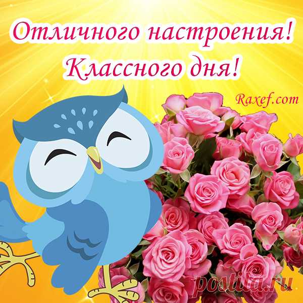 Отличного настроения! Хорошего дня! Открытки, картинки и пожелания своими словами, в прозе! Дорогие друзья! Сегодня такой замечательный день... | Страница 3