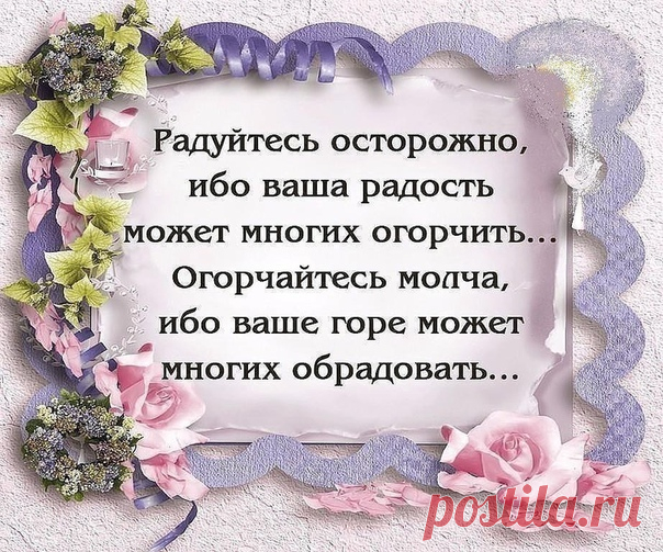 Светлана Голицына