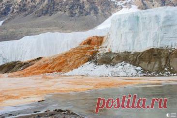 Кровавый водопад в Антарктиде Кроваво-красный поток вытекающий из Ледника Тейлора в Сухих долинах в Восточной Антарктиде был назван кровавым водопадом.Богатая железом солёная вода спорадически выходит из небольшой трещины в ледяном водопаде. Источником воды является озеро, покрытое 400 метрами льда, удалённое на...