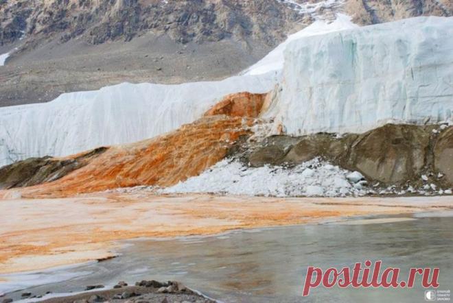 Кровавый водопад в Антарктиде Кроваво-красный поток вытекающий из Ледника Тейлора в Сухих долинах в Восточной Антарктиде был назван кровавым водопадом.Богатая железом солёная вода спорадически выходит из небольшой трещины в ледяном водопаде. Источником воды является озеро, покрытое 400 метрами льда, удалённое на...