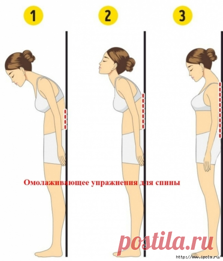 Омолаживающее упражнения для спины