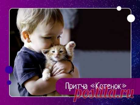 Продавец одного небольшого магазинчика прикрепил у входа объявление «Продаются котята». Эта надпись привлекла внимание детишек, и через считанные минуты в магазин вошел мальчик. Поприветствовав продавца, он робко спросил о цене котят. - От 30 до 50 рублей, - ответил продавец.Вздохнув, ребенок полез в карман, достал кошелек и стал пересчитывать мелочь.- У меня только 2 рубля сейчас, - грустно сказал он. -Пожалуйста, можно мне хотя бы взглянуть на них, - с надеждой попросил ...