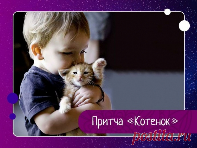 Продавец одного небольшого магазинчика прикрепил у входа объявление «Продаются котята». Эта надпись привлекла внимание детишек, и через считанные минуты в магазин вошел мальчик. Поприветствовав продавца, он робко спросил о цене котят. - От 30 до 50 рублей, - ответил продавец.Вздохнув, ребенок полез в карман, достал кошелек и стал пересчитывать мелочь.- У меня только 2 рубля сейчас, - грустно сказал он. -Пожалуйста, можно мне хотя бы взглянуть на них, - с надеждой попросил ...