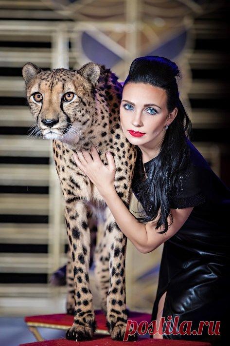 Дрессировщица гепардов Дарья Костюк: «Там, где появляется Дю Солей, цирки с животными закрываются» . Милая Я