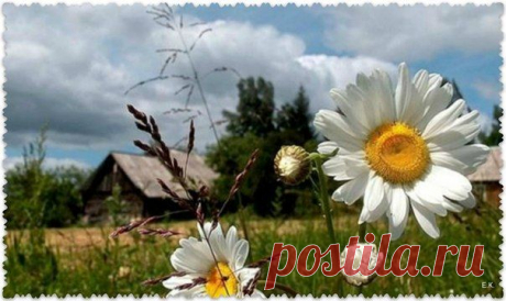 Фотографии на стене сообщества | 32 804 фотографии | ВКонтакте