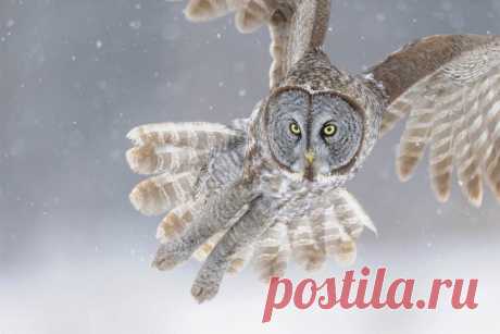 Учатся , осваивают новые навыки все , даже те кто уже достиг определенных доходов . Обучение тому ,  как правильно организовать свое дело в интернете , регистрация