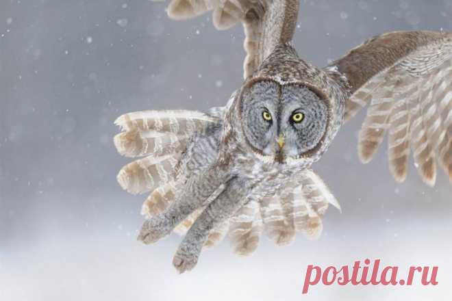 Учатся , осваивают новые навыки все , даже те кто уже достиг определенных доходов . Обучение тому ,  как правильно организовать свое дело в интернете , регистрация