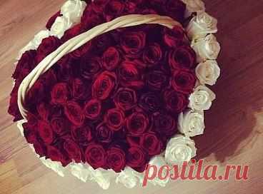 Приложение "Открытки" – Светлана Викторовна добавила фотографию в альбом Розы