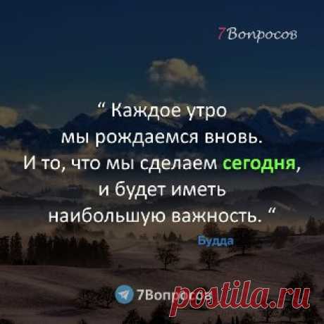 7Вопросов “ Каждое утро мы рождаемся вновь. И то, что мы сделаем сегодня, и будет иметь наибольшую важность. “ © Будда