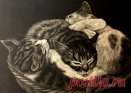 Эми Сато, японский художник.