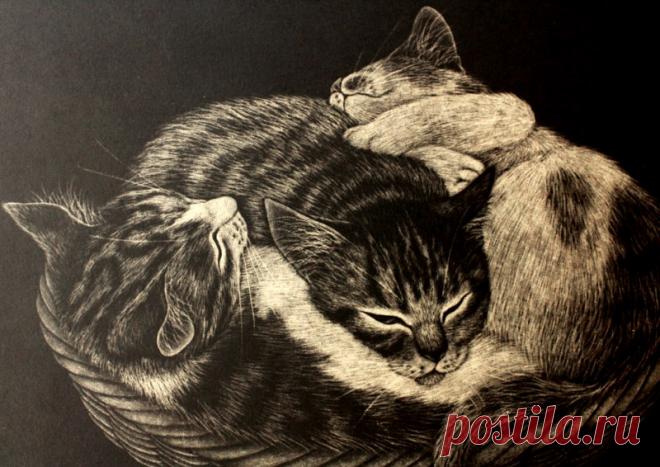 Эми Сато, японский художник.