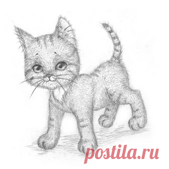 Рисуем котёнка: мастер-класс — Сделай сам, идеи для творчества - DIY Ideas