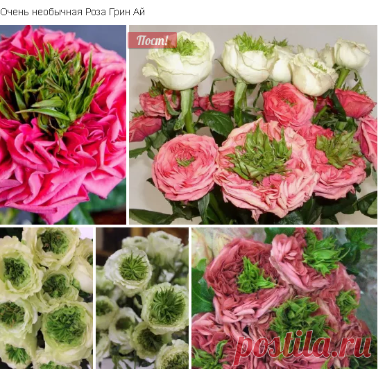 2 непрочитанных чата