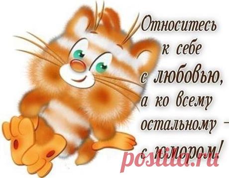 (51) Одноклассники