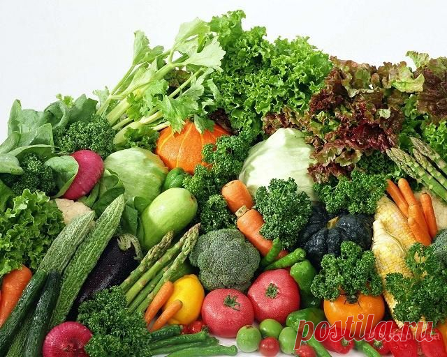 Продукты с нулевой калорийностью, или еда для кроликов | ПолонСил.ру - социальная сеть здоровья