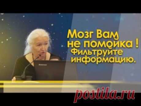 В рамках июльской образовательной программы «Большие вызовы» в «Сириусе» реализуется 12 научных проектов из разных областей – космоса, микромира, океана, нан...