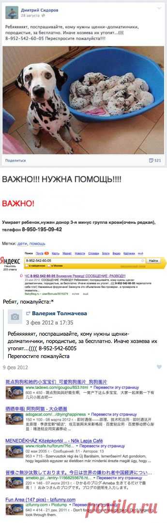 10 способов отличить обман в Интернете от просьбы о помощи! (это НАДО знать!) | ЖЕНСКИЙ МИР