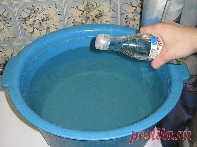 От этой смеси исчезает грибок на ногах и руках. Мгновенный результат!
 
 
Грибок ногтей на ногах — это заболевание, которым страдают и мужчины, и женщины, причем встречается оно у людей всех возрастов.
 
 
Одна моя хорошая знакомая недавно приехала с отдыха, где она проводила время у бассейна и стала жертвой этого, на первый взгляд, безобидного заболевания. Сначала она не придавала этому большого значения, пока грибок не стал прогрессировать.
 
 
Первые попытки лечения маз...