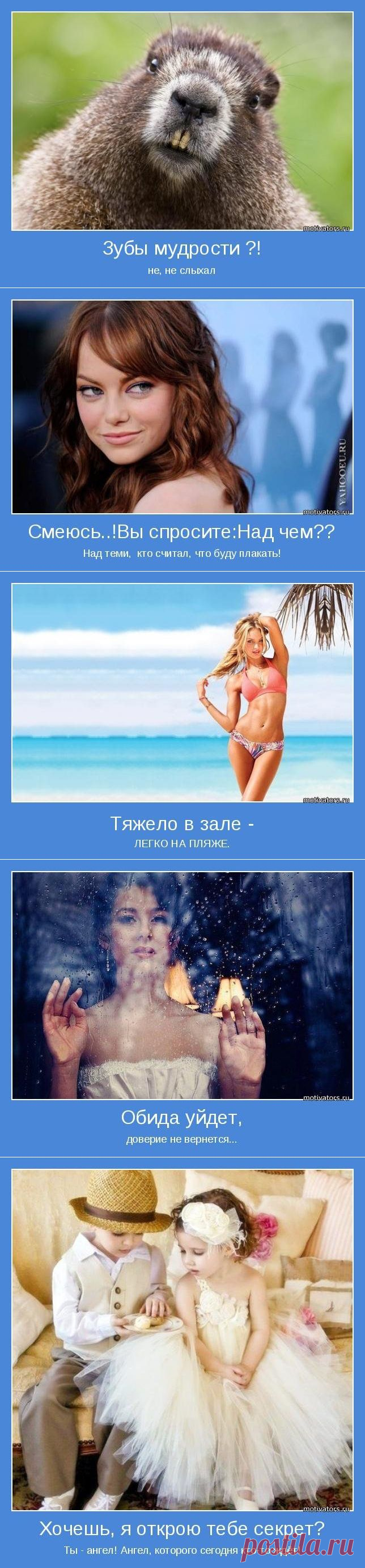 Мотиваторы на любой вкус