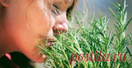 Самая мощная трава для мозгового кровообращения, сердца, сосудов, надпочечников, суставов, кожи, волос и не только!
Люди много столетий лечат артрит, подагру, астму, экзему, заболевания печени, желчного пузыря, сердца… Оно помогает восстановить организм после тяжелых болезней! Вы чувствовали, что ваш ум и тело устали? Знайте, что есть мощная и ароматная трава, способная обеспечить необходимую...
Читай пост далее на сайте. Жми ⏫ссылку выше