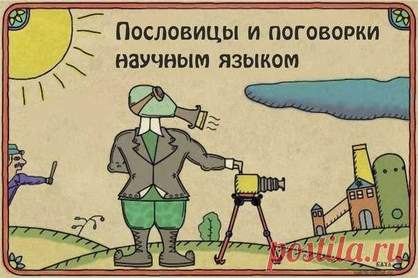 Пословицы и поговорки научным языком — ПСИ-фактор.Взгляд. — Профессионалы.ru