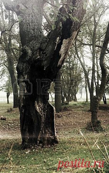 вандализм Фотография, картинки, изображения и сток-фотография без роялти. Image 24630307.