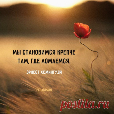 мы становимся крепче....