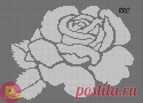 Схемы "Розы" для вышивки или вязания — Сделай сам, идеи для творчества - DIY Ideas