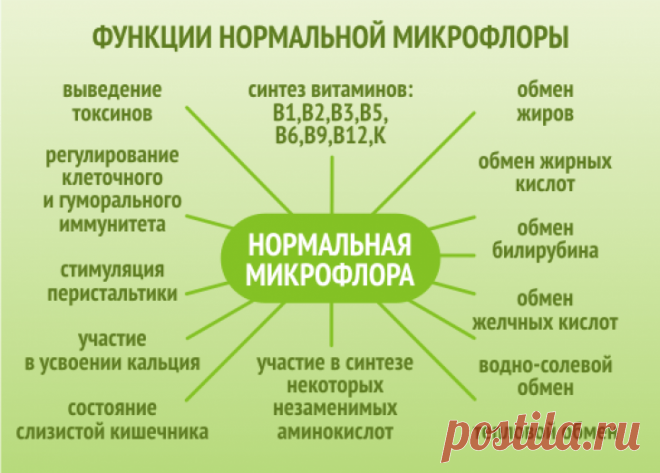 В нашем организме существует 200 000 млрд  микроорганизмов, что в 1000 раз больше, чем количество собственных клеток. Но основные методы лечения направлены сегодня в первую очередь на уничтожение болезни, а не на созидание здоровья. Уничтожение химическими методами лечения. Уничтожение болезни вместе с равновесием всего этого многообразия микрофлоры человеческого организма.