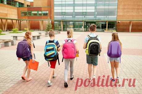 6 полезных навыков для школьников Требования к выпускнику начальной школы содержатся в федеральном государственном образовательном стандарте - ФГОС. Не считая знаний по программе, ребенок должен иметь 10 личностных качеств и 16 универсальных умений. Онлайн-школа «Фоксфорд» выяснила, что из этого поможет адаптироваться...