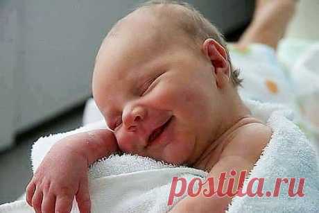 Новогодняя пьянка 2014