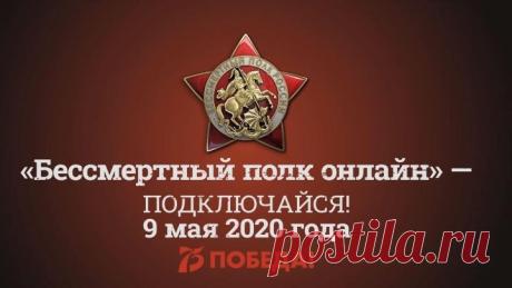 Шествие "Бессмертный полк - онлайн"