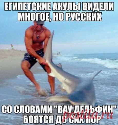 Журналист берет интервью у отставного капитана: - Итак, капитан, вспомните, какую вам пришлось пережить самую страшную бурю в своей жизни? Старый морской волк, после некоторого раздумья: - Я думаю, что это случилось, когда я плюнул на кухне, которую только что вымыла моя жена! - Выпуск №1609 — Вокруг смеха - анекдоты