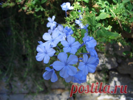 Лето | Фотографии Ксюша Ксюшина | 201 фото