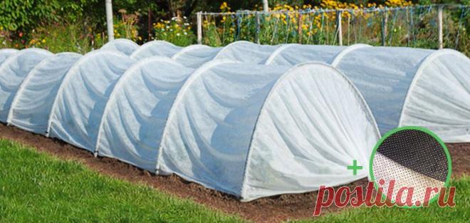 Парник «Подснежник»