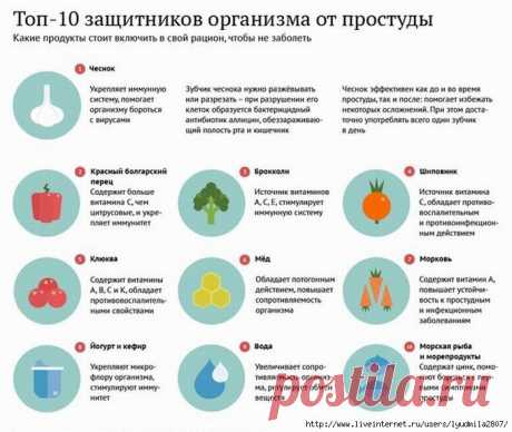 Продукты-защитники от простуды