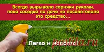 Всегда вырывала сорняки руками, пока соседка по даче не посоветовала это средство… Легко и надолго! | Полезные советы