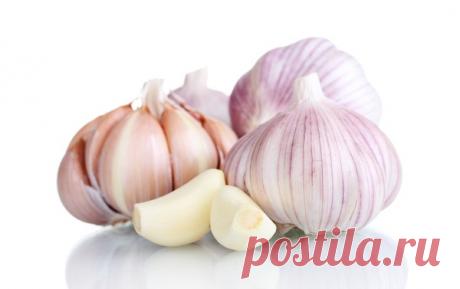 Американский доктор рассказал о мощном природном антибиотике: он убивает все инфекции в организме!