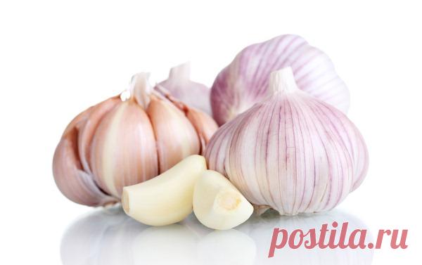 Американский доктор рассказал о мощном природном антибиотике: он убивает все инфекции в организме!