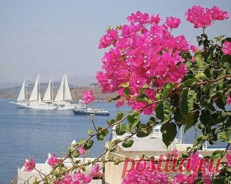 Одноклассники