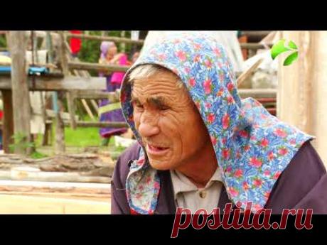 Полярные истории: "По следам снежного человека"