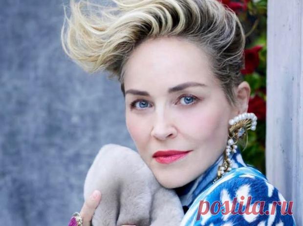 Шэрон Стоун оплакивает смерть 11-месячного племянника: эмоциональное видео актрисы