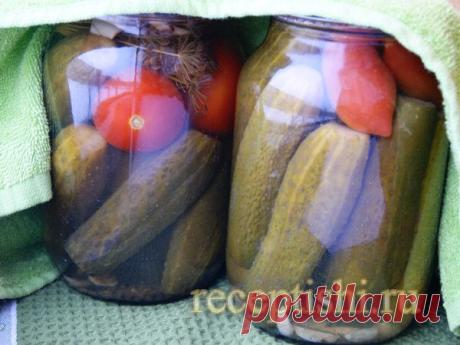 Огурцы, маринованные с томатами | Кулинарные рецепты с фото на Рецептыши.ру