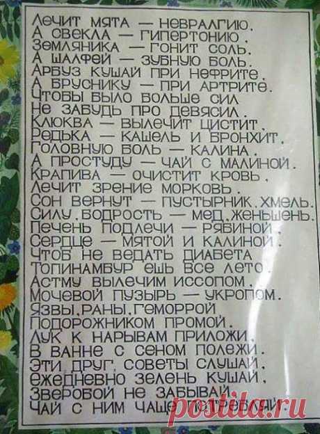(44) Фитхакер - Публикации