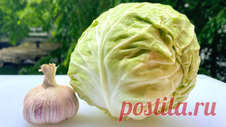 Рецепты в гостях у Вани | Салат из капусты. Новый рецепт. Вкусная чесночная заправка без майонеза