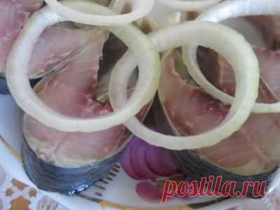 Селёдочка домашняя : Рыбные блюда