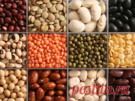 Сколько варить? ЦЕННАЯ ПАМЯТКА ДЛЯ ХОЗЯЕК